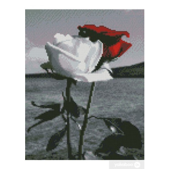 Алмазна картина 30х40 №НХ399 Червона та біла троянди, в коробці