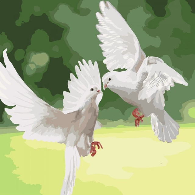 Картина за номерами 40х40 Ідейка Білосніжні голуби KHO4149
