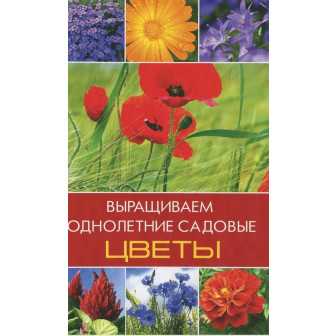 Выращиваем однолетние садовые цветы