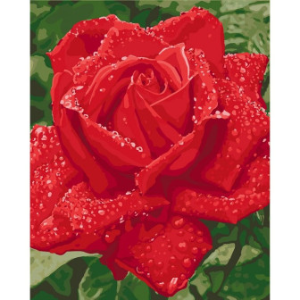 Картина за номерами 40х50 Ідейка Ніжність троянди KHO3045