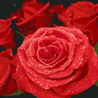 Картина за номерами 40х40 Ідейка Червоні троянди КНО3089