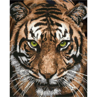 Картина по номерам 40х50 Идейка Величний тигр KHO4166