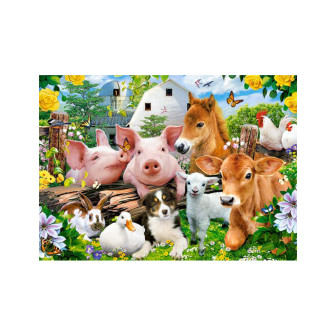 Пазл 60 Castor В-066209