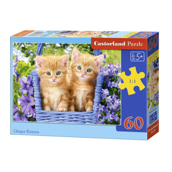 Пазл 60 Castor В-066247