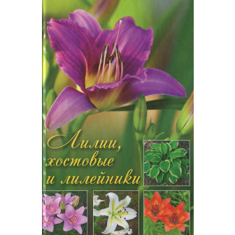 Лилии хостовые и лилейники