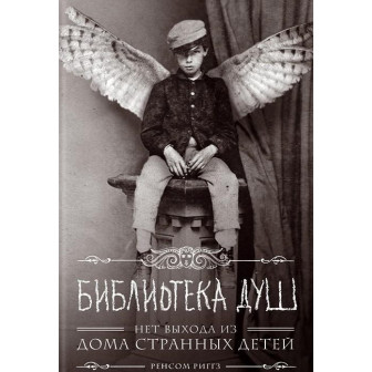 Библиотека душ. Кн.3 (м)